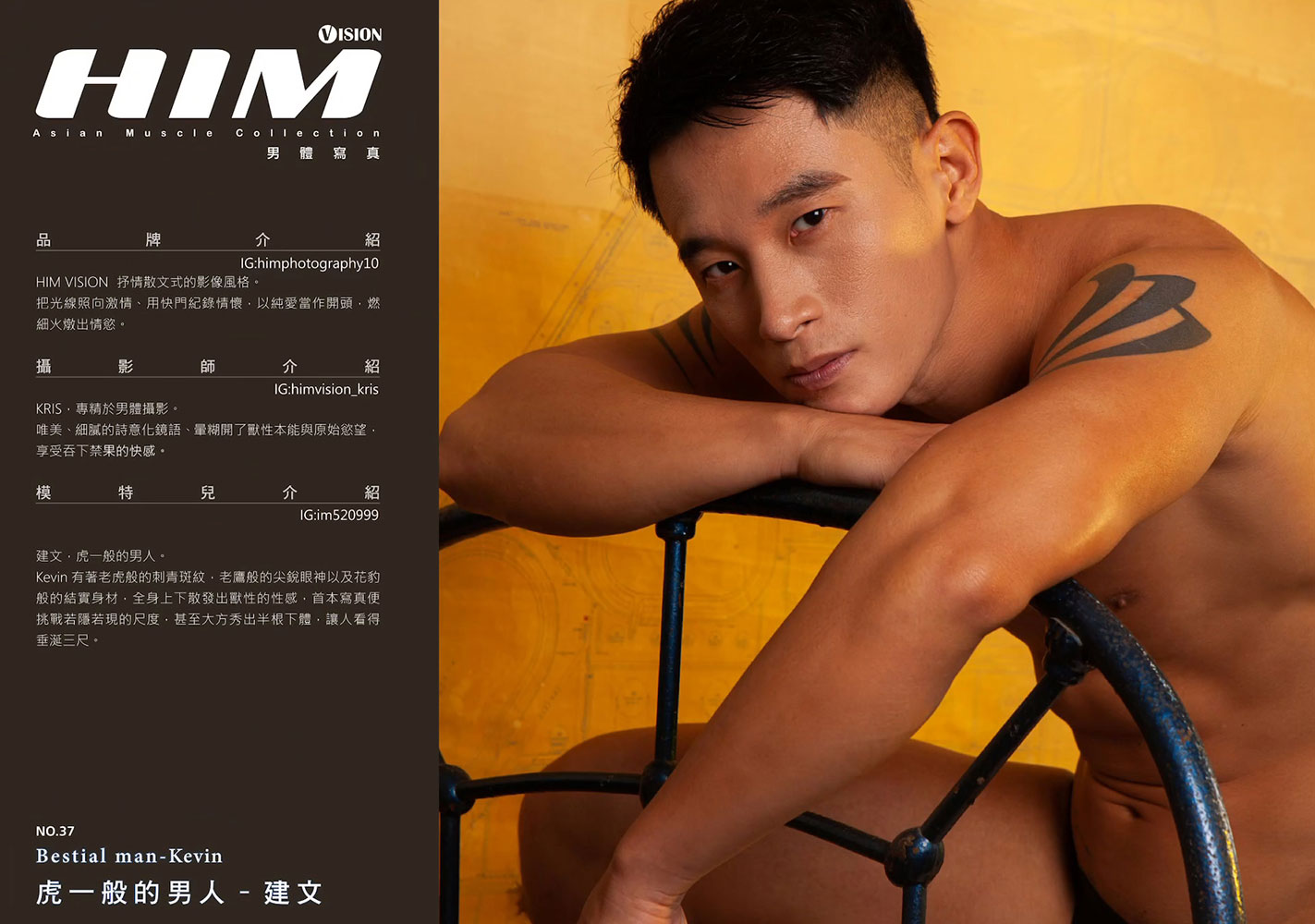 HIM-VISION-37-2