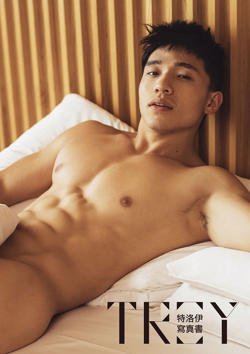 Troy (1)